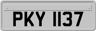 PKY1137