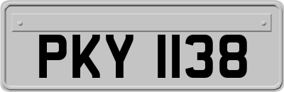 PKY1138