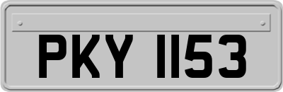 PKY1153
