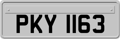PKY1163