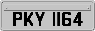 PKY1164