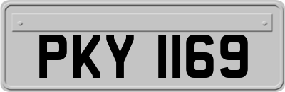 PKY1169