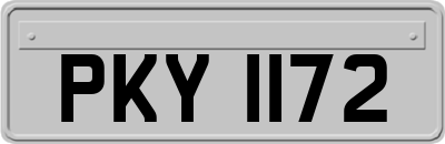 PKY1172