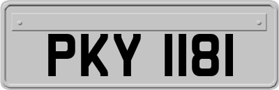 PKY1181
