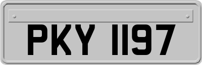 PKY1197