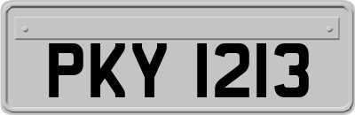 PKY1213