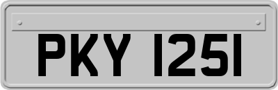 PKY1251