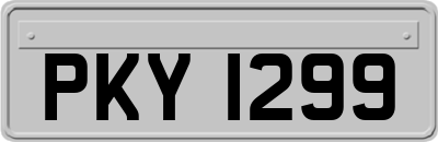 PKY1299