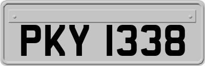PKY1338