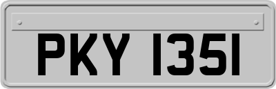 PKY1351