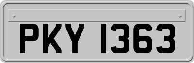 PKY1363