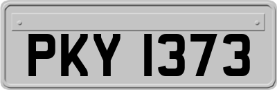 PKY1373