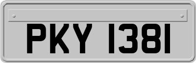 PKY1381