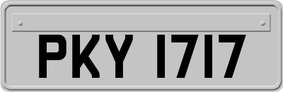 PKY1717