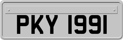 PKY1991