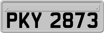 PKY2873