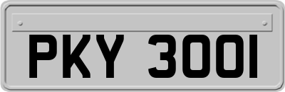 PKY3001