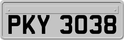 PKY3038