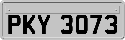 PKY3073