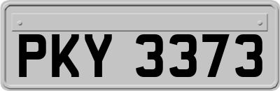 PKY3373