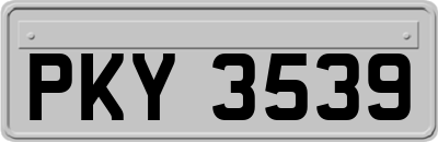 PKY3539