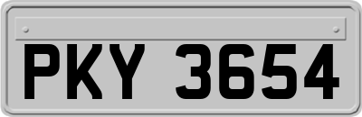 PKY3654