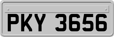PKY3656