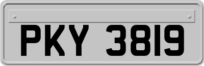 PKY3819