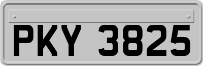 PKY3825