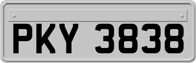 PKY3838