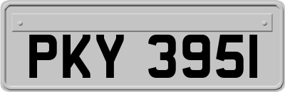 PKY3951
