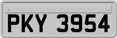 PKY3954