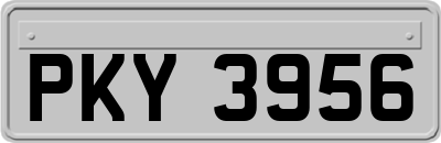 PKY3956