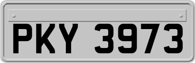 PKY3973