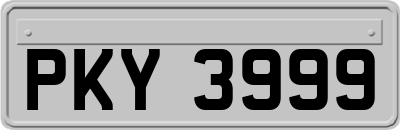 PKY3999