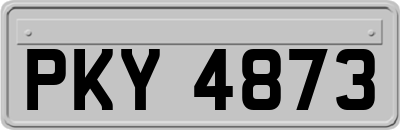 PKY4873