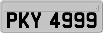 PKY4999
