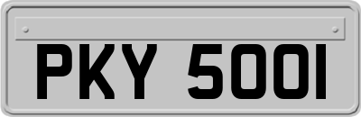 PKY5001
