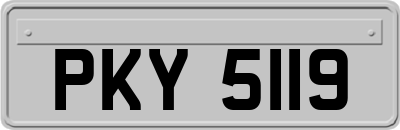 PKY5119