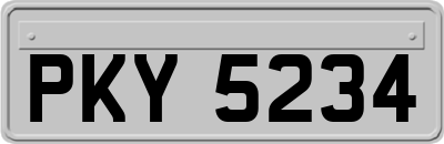 PKY5234