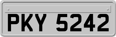 PKY5242