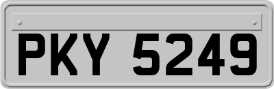PKY5249