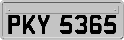 PKY5365