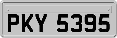 PKY5395