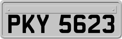 PKY5623