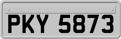 PKY5873
