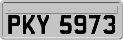 PKY5973