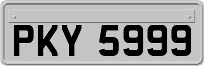 PKY5999