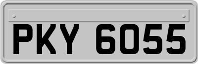 PKY6055
