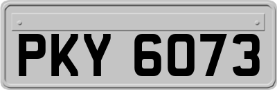 PKY6073